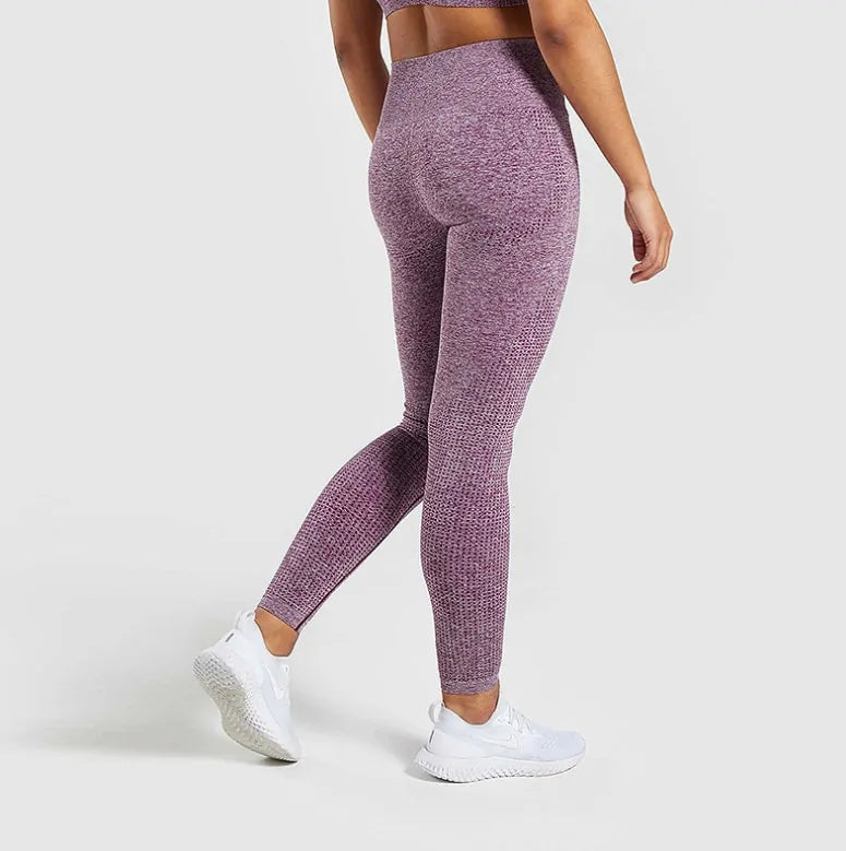 Leggings sin Costuras con Control de Abdomen - High Trend Coture