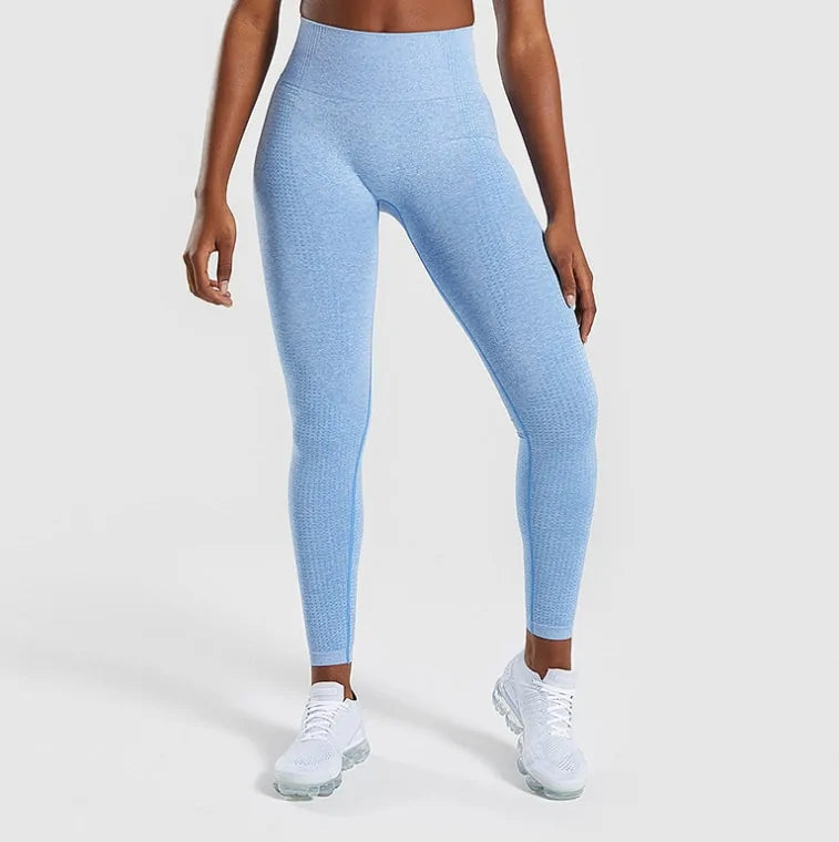 Leggings sin Costuras con Control de Abdomen - High Trend Coture