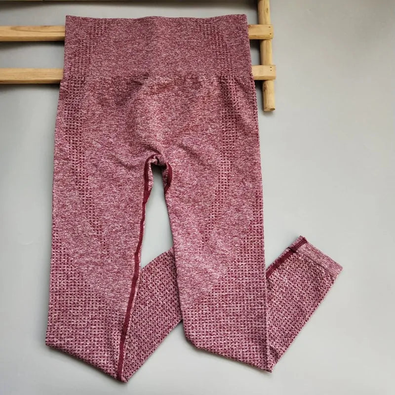 Leggings de Cintura Alta sin Costuras - High Trend Coture